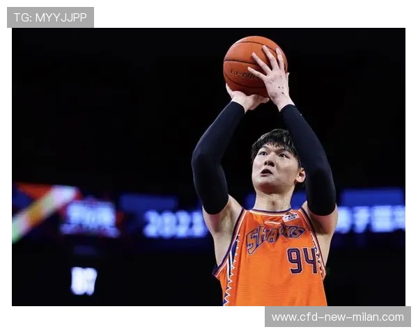 王哲林篮板进攻，福建内线稳如磐石——一次内线力量的崛起之旅